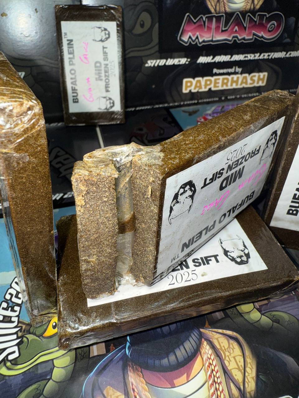 ππ§π€π―ππ£ ππππ© πππ π½πͺπππ‘π€ ππ‘πππ£ - πππΌππΌ πΎπΌππ