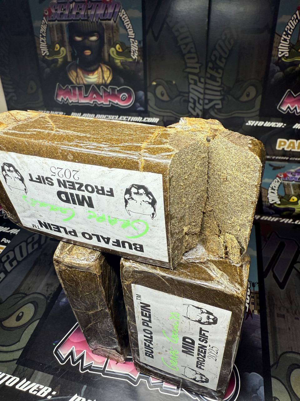 ππ§π€π―ππ£ ππππ© πππ π½πͺπππ‘π€ ππ‘πππ£ - πππΌππ πΎππππππ